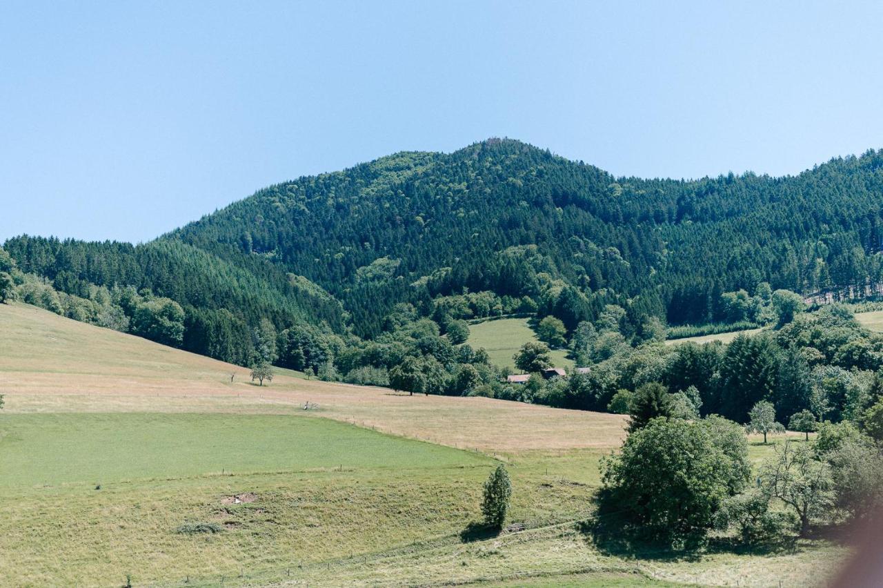 Moderne 2 Zi.Fewo Blackforest Art Naehe Freiburg Simonswald Εξωτερικό φωτογραφία