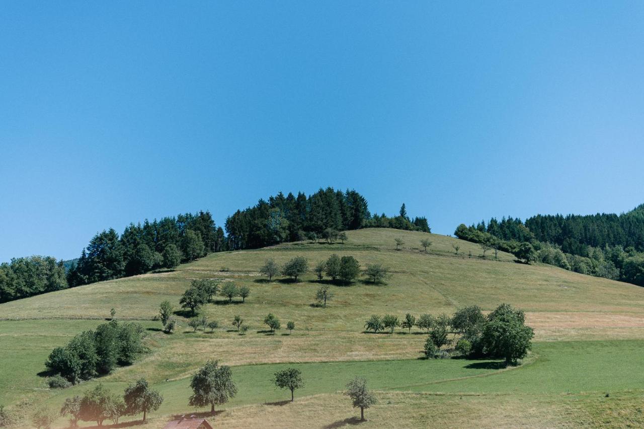 Moderne 2 Zi.Fewo Blackforest Art Naehe Freiburg Simonswald Εξωτερικό φωτογραφία